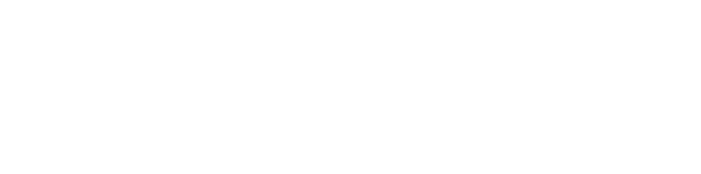 Boston Maxicourse